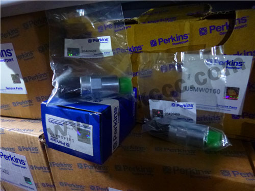 1206E柴油機(jī)T410145柴油燃油泵、溫度感應(yīng)傳感器、燃料過濾器(1206E)